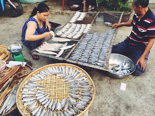 Đảo Thạnh An - Tôm cá phơi khô 1