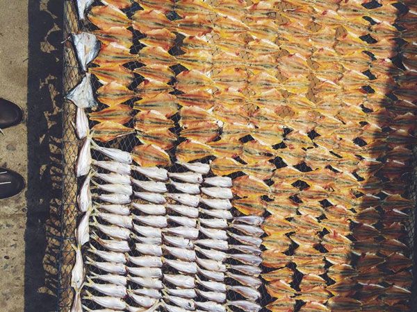 Đảo Thạnh An - Tôm cá phơi khô 2