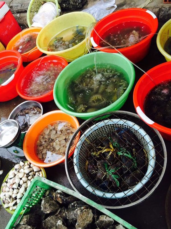 Đảo Thạnh An - hải sản trên đảo 3